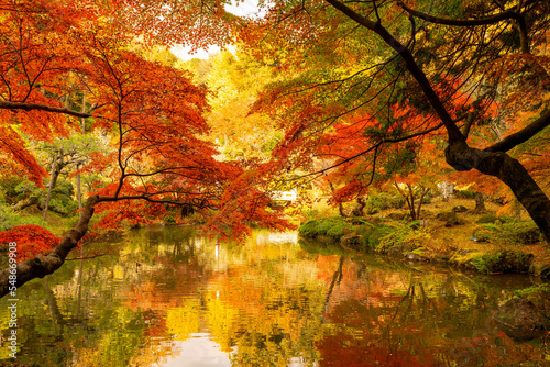 Fotografía 逆さ紅葉　成田山公園紅葉まつり