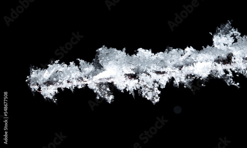 White snowflakes on a tree branch is isolated on a black background.