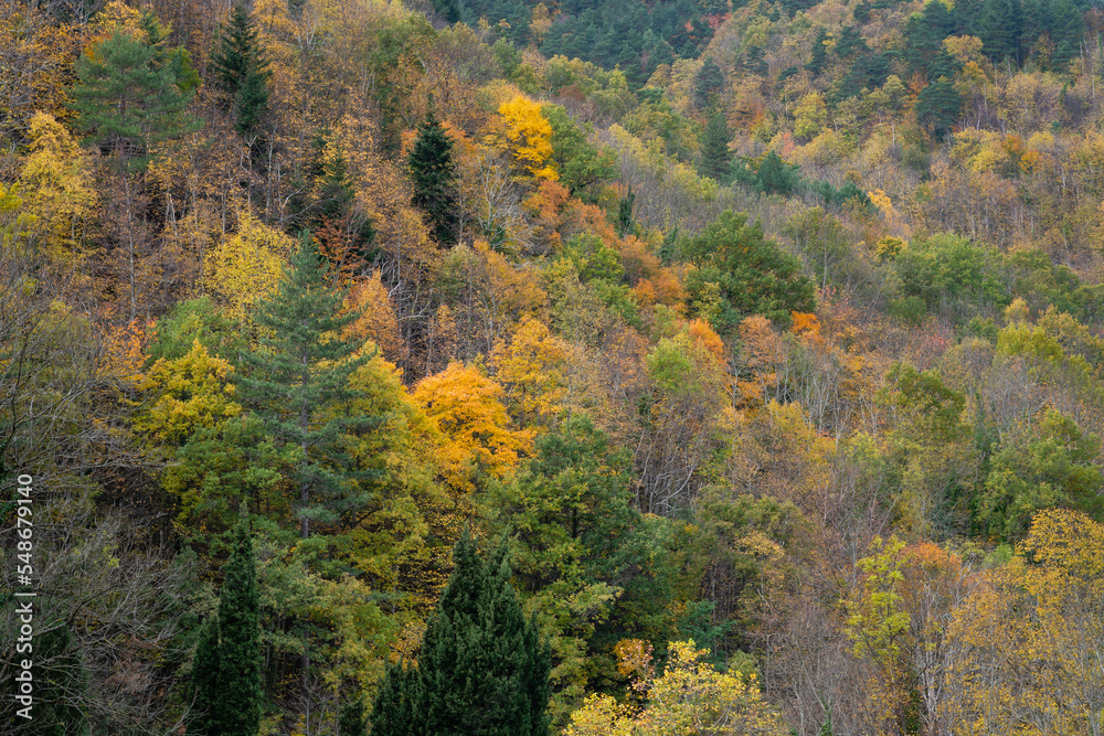 Scenic mountain landscape in autumn of colorful forest foliage in the lower Pyrenees, Gincla, Aude, France