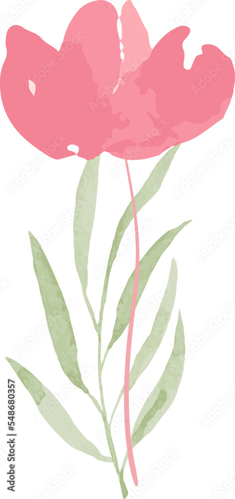 Watercolor wild flower illustration Watercolor wild flower illustration