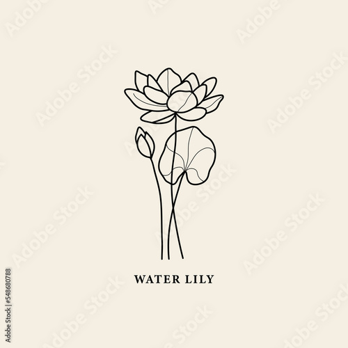 Line art water lily flower illustration