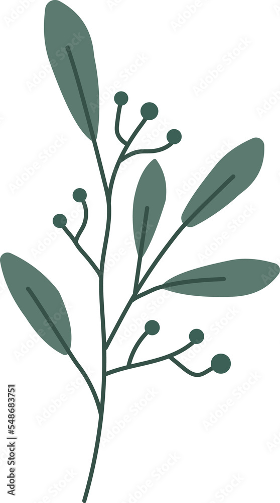 Hand drawn leaf design elements. Hand drawn leaf design elements.