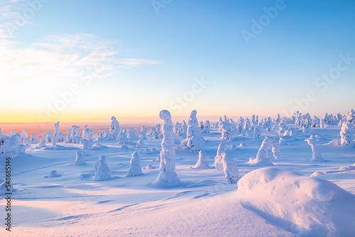 winter landscape with snow cowered trees