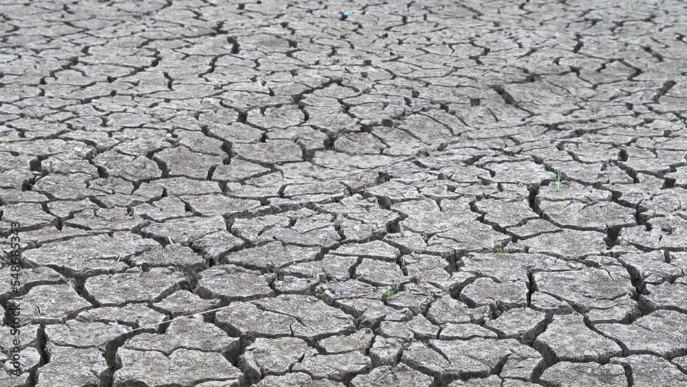 The cracks soil texture are global climate change and drought. time lapse evaporation from soil. dry, cracked earth. increased temperatures, global warming, environment and ecology.
The cracks soil texture are global climate change and drought. time lapse evaporation from soil. dry, cracked earth. increased temperatures, global warming, environment and ecology.