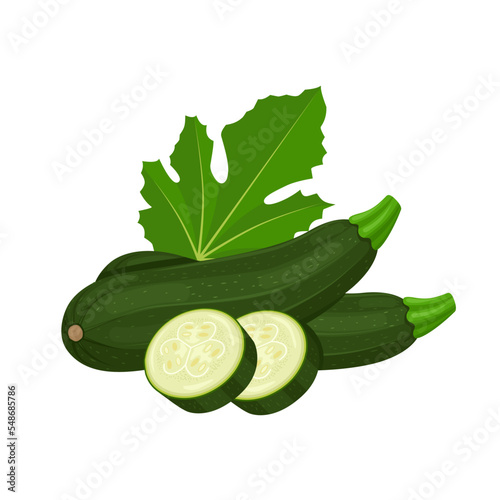 Vector illustration, zucchini with slices and leaves, isolated on white background.