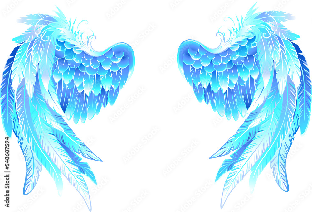 Fototapeta premium Angel wings