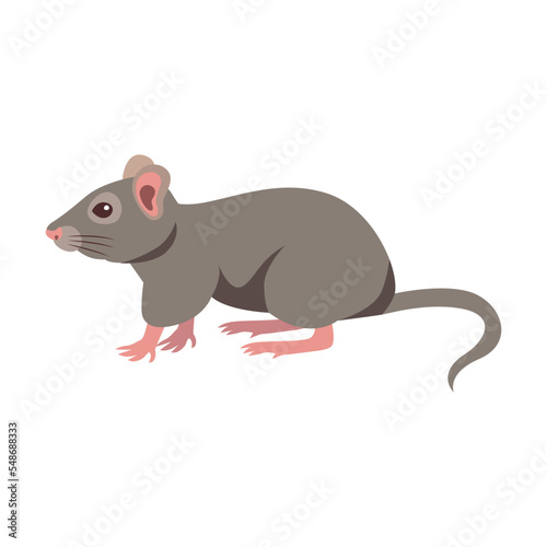 Cute grey mouse cartoon illustration. Little house mice or rat character with long tail isolated on white background