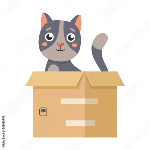 Cat with box, preposition inside, cartoon illustration. Visual representation of English preposition of place for children. Pet above
