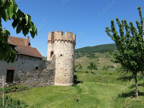 Alsace photo