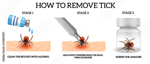 realistic spider mite remove infographics
