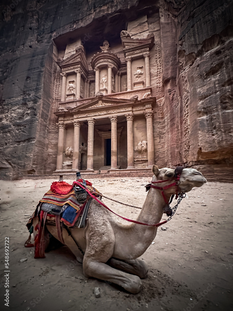 Naklejka premium The Treasury at Petra, jordan. unesco world heritage site