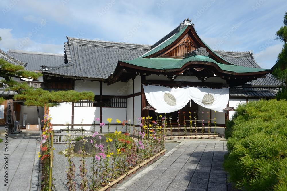 秋の大覚寺 式台玄関と嵯峨菊 京都市右京区嵯峨 秋の大覚寺 式台玄関と嵯峨菊 京都市右京区嵯峨