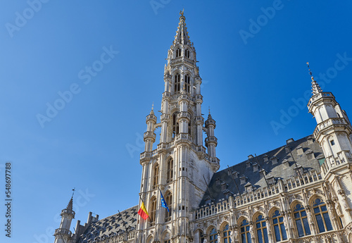 Brussels, an ancient city of the artes
