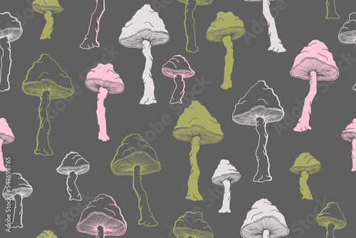 Amanita choky inedible mushrooms seamless pattern vector illustration. photo