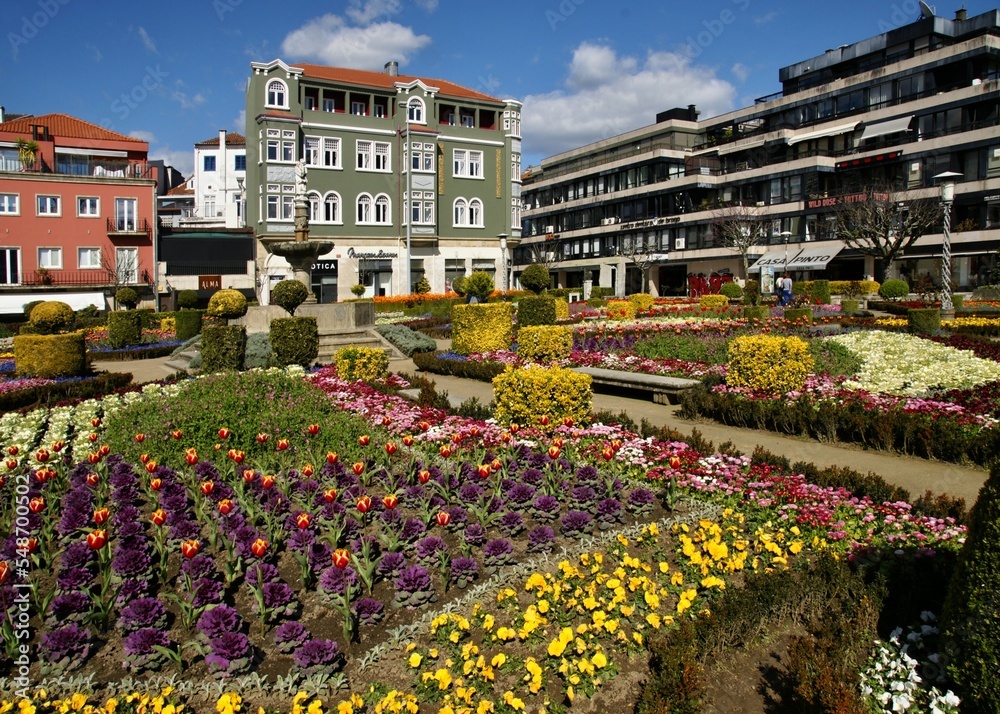 Colorful flower beds in Braga, Norte - Portugal