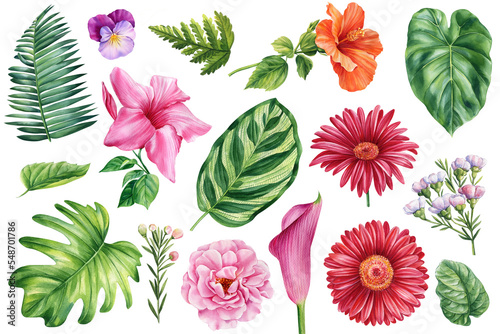set of tropical plants and flowers on a white background, watercolor drawing, palm leaves, rose, hibiscus, pansy, fern