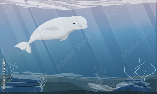 Print op canvas The beluga whale swims in cold ocean water