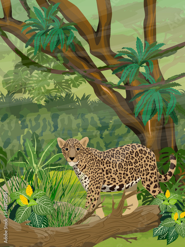 The jaguar is walking through the dense jungle. Wild cats of South America. Realistic vector landscape