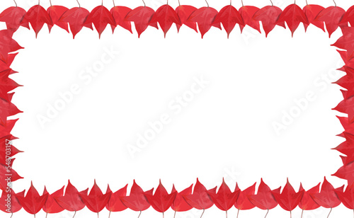 Frame with vivid red maple leaves on white background.