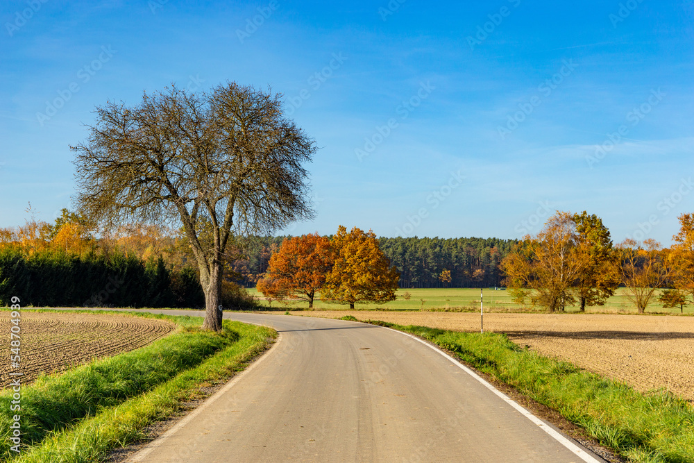 Sunny autumn day in european countryside. Rural road. Czech Republic.