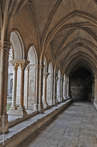 Arles  il chiostro della Cattedrale di Saint-Trophime - Provenza