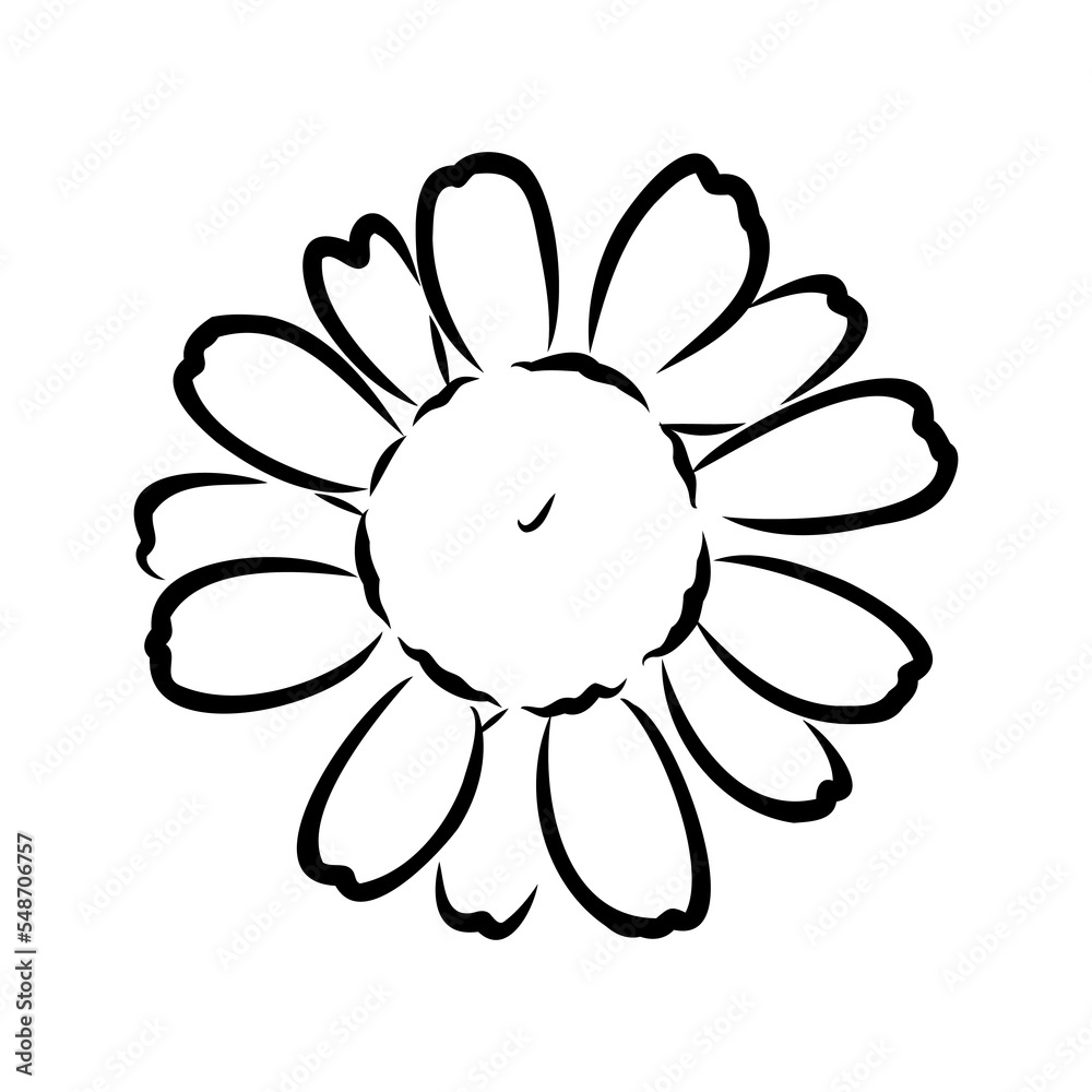 Daisy flower line art drawing. Vector hand drawn engraved illustration. Wild Chamomile black ink sketch. Wild botanical garden bloom. Great for tea packaging, label, icon, greeting cards, decor Daisy flower line art drawing. Vector hand drawn engraved illustration. Wild Chamomile black ink sketch. Wild botanical garden bloom. Great for tea packaging, label, icon, greeting cards, decor