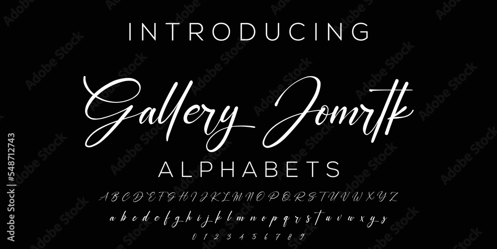 signature Font Calligraphy Logotype Script Brush Font Type Font