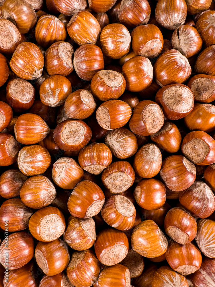 Hazelnuts, texture of whole natural nuts in shell, macro shot Hazelnuts, texture of whole natural nuts in shell, macro shot