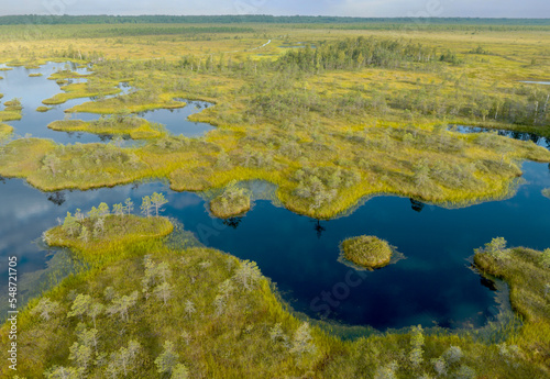 Swamp landscape on sunset. Wild mire of Yelnya, Belarus. East European swamps and Peat Bogs. Ecological reserve in wildlife. Marshland with islands and pine trees. Swampy land and wetland, marsh, bog. © MaxSafaniuk