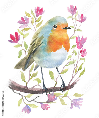 Watercolor hand drawn illustration of small robin bird on a twig with little flowers