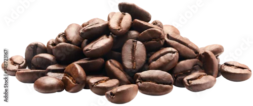 Obraz Group of coffee beans