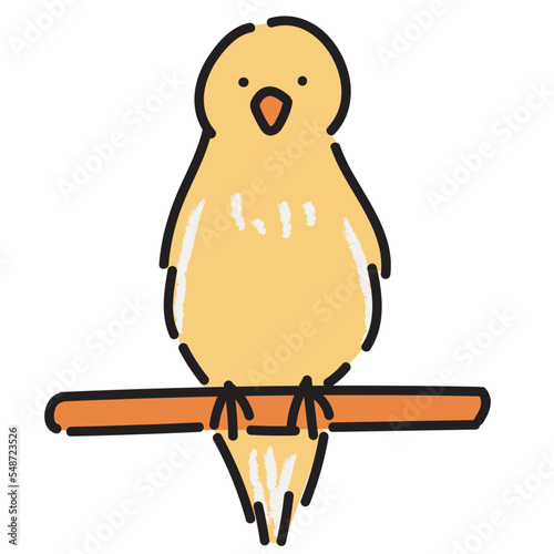 Canary bird vector illustration