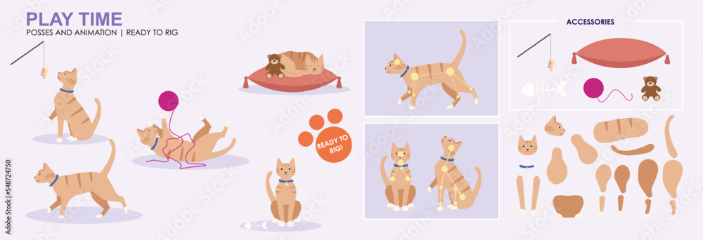 Cute Ginger Tabby cat dinner time, eating snacks food fish, multiple ...