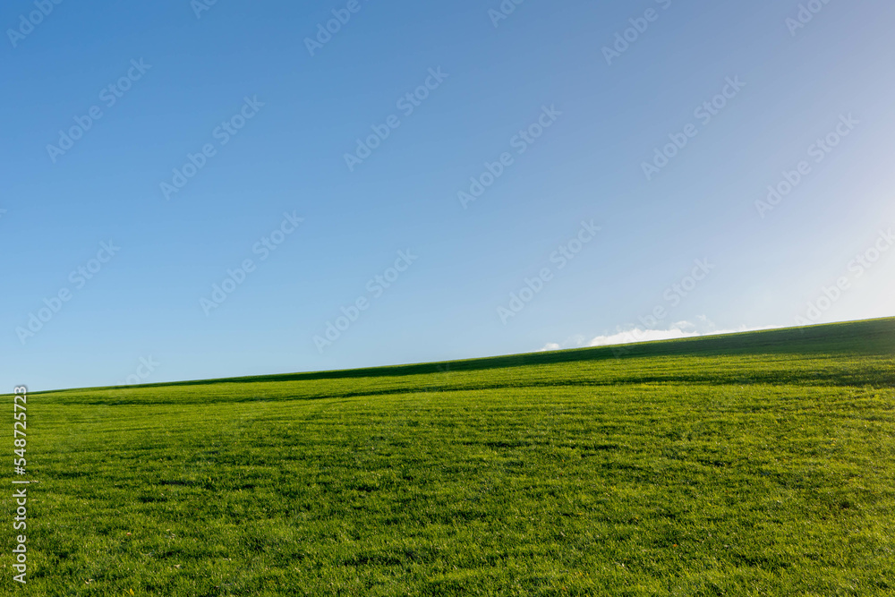 Landscape view of green grass field on slope hill under blue sky and white fluffy clouds, Green meadow on hilly side with warm sunlight in the morning, Nature background, Free copy space for your text Landscape view of green grass field on slope hill under blue sky and white fluffy clouds, Green meadow on hilly side with warm sunlight in the morning, Nature background, Free copy space for your text