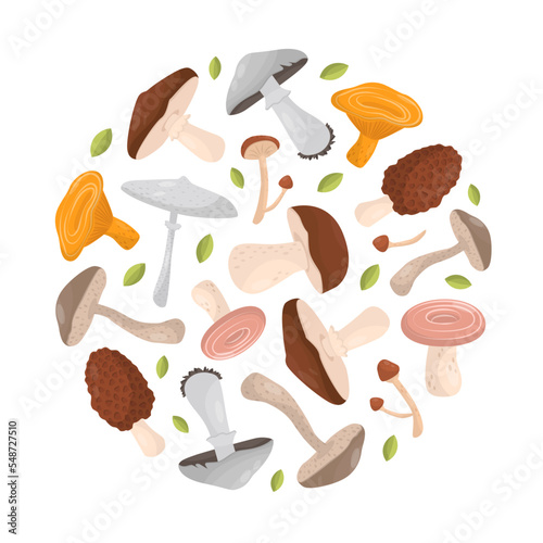 Mushrooms of circular shape banner. Forest edible mushrooms poster, card template, website cartoon vector
