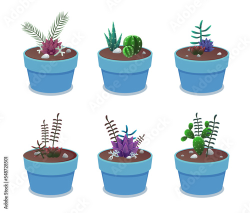 Succulents in blue pots vector illustrations set. Collection of cartoon drawings of cactuses in flowerpots isolated on white background. Houseplants, nature, botany, decoration concept
