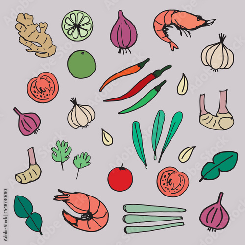 Illustration of tomyum ingredient, freehand drawn style