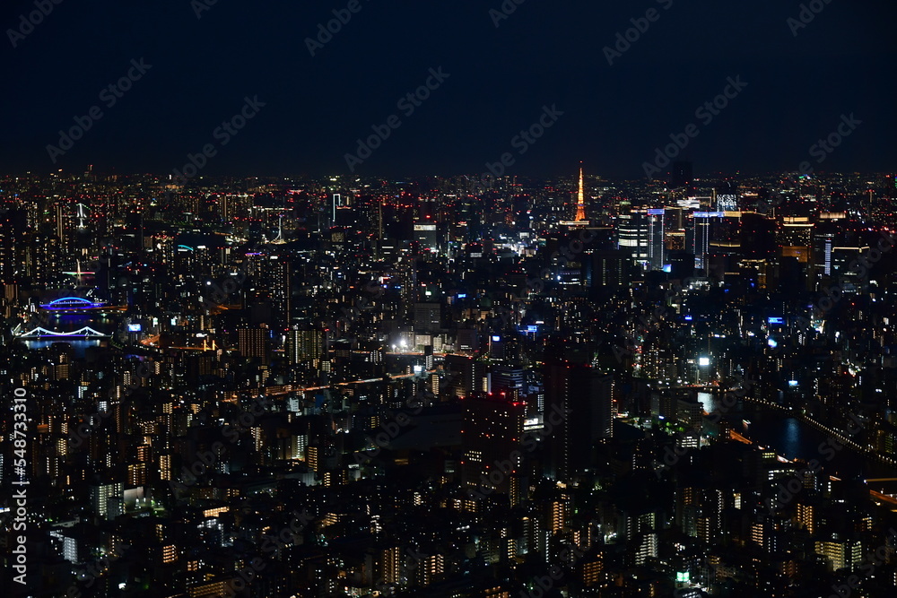夜景（東京スカイツリーより東京タワー）