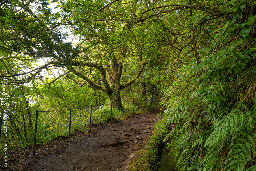 Caldeirao Verde, one of the most beautiful levadas on the island. Caldeirao Verde, one of the most beautiful levadas on the island.