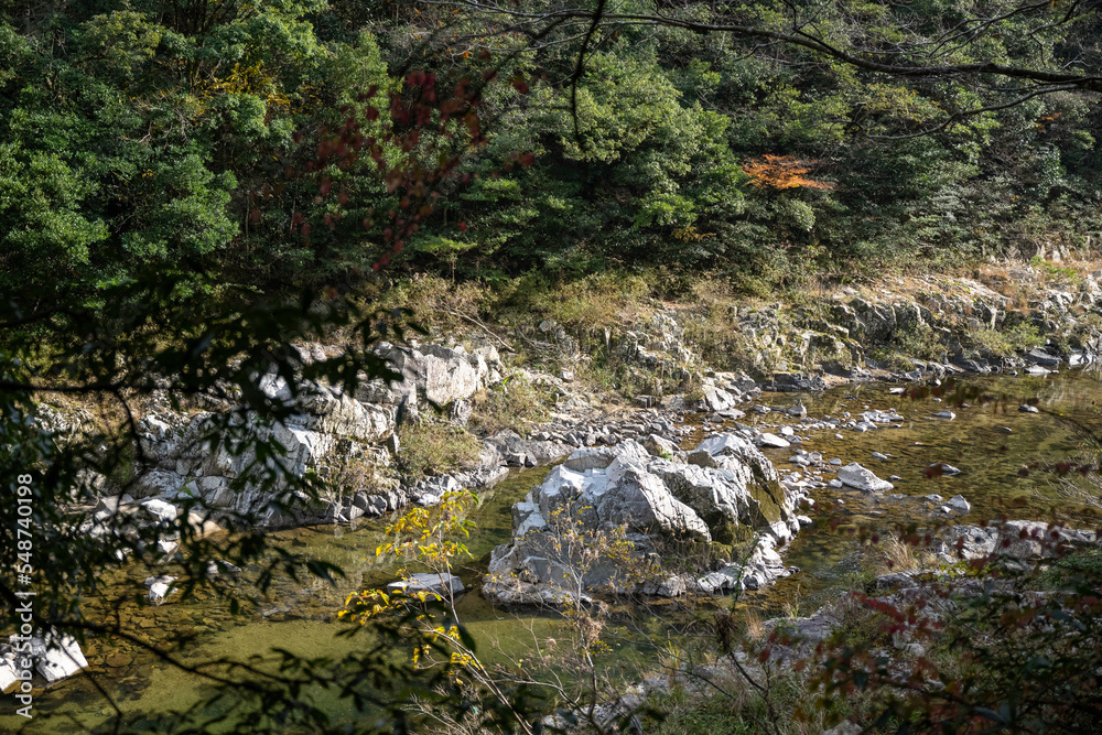 紅葉と渓谷の綺麗な秋の長門峡 山口県 紅葉と渓谷の綺麗な秋の長門峡 山口県