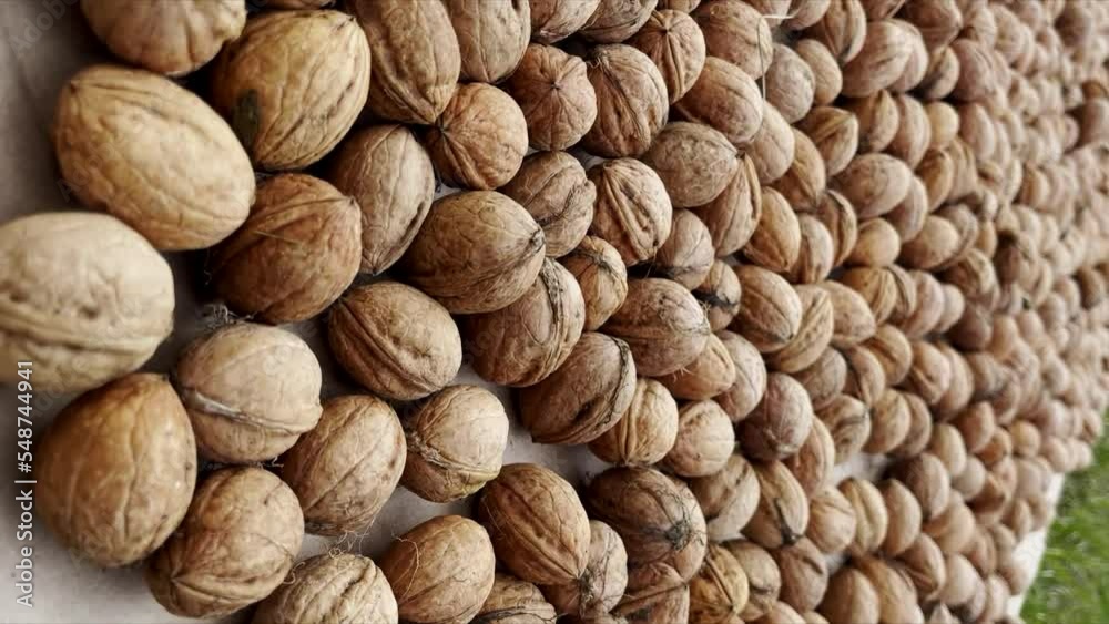 Lots of walnuts on the table. Vertical video for the smartphone.