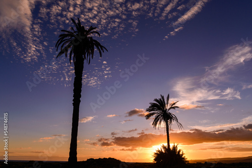 Beautiful sunset with palm trees at Castillo del Romeral, Gran Canary, Canay Islands, Spain