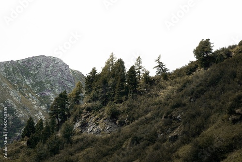 Low-angle of snowy Muntele Rosu (Red Mountain) gloomy sky background photo