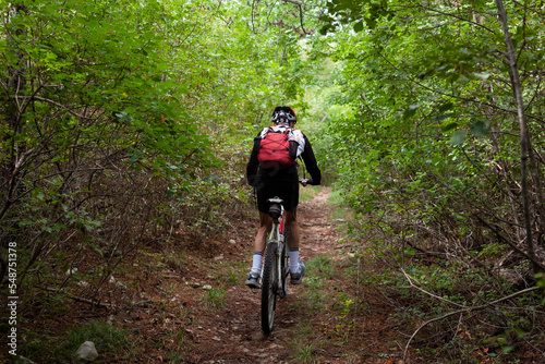 Mountain biker riding cycling in the autumn forest