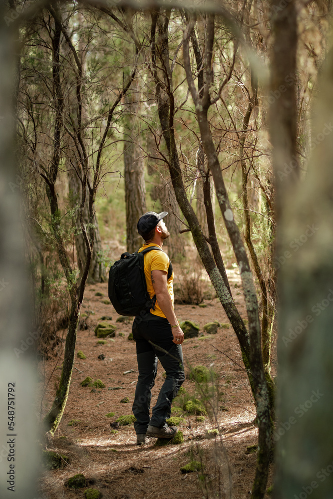 Naklejka premium White man hiking through the forest in autumn.
