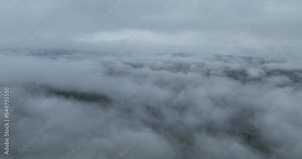 Rainy weather in mountains. Misty fog blowing over pine tree forest. Aerial footage of spruce forest trees on the mountain hills at misty day. Abstract copy space natural background. Rainy weather in mountains. Misty fog blowing over pine tree forest. Aerial footage of spruce forest trees on the mountain hills at misty day. Abstract copy space natural background.