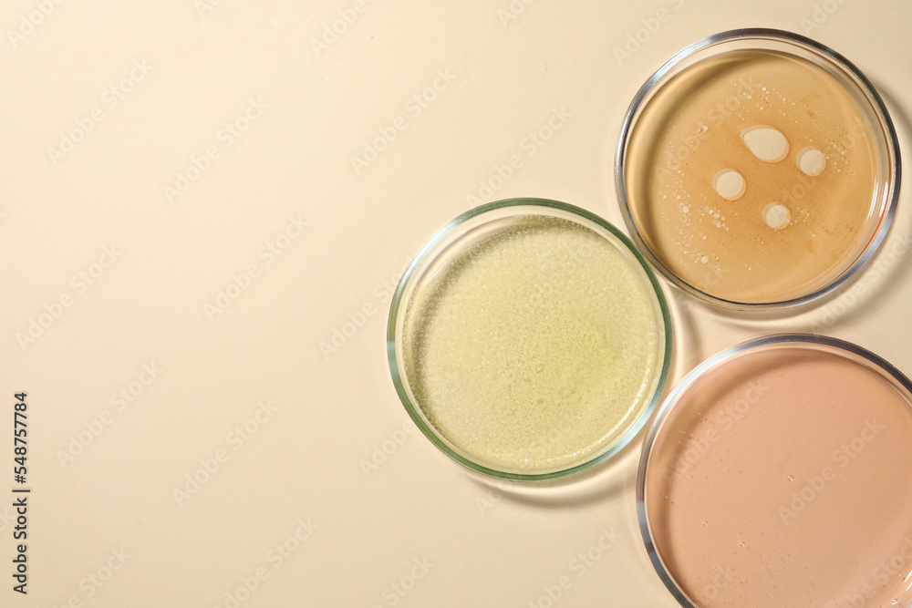 Petri dishes with color liquids on beige background, flat lay. Space for text Petri dishes with color liquids on beige background, flat lay. Space for text