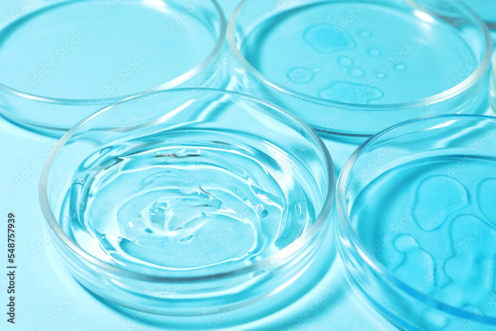 Petri dishes with liquids on light blue background, closeup Petri dishes with liquids on light blue background, closeup