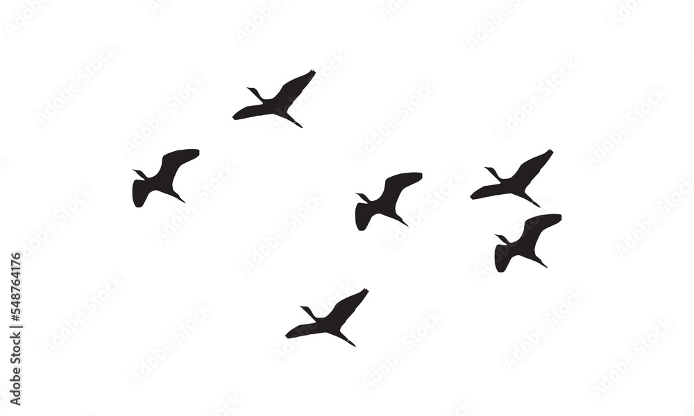 Flying Birds Silhouette Flying Birds Silhouette