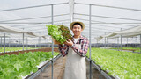 Smiling male gardener holding a box of fresh organic vegetables, lettuce. Organic vegetable gardening concept.
